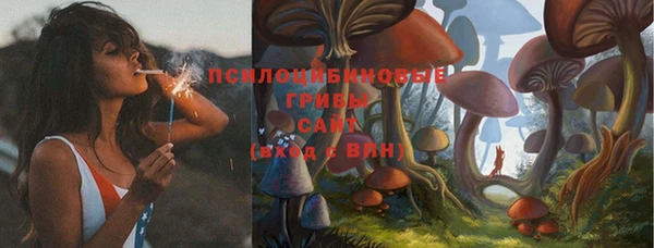 герыч Алзамай