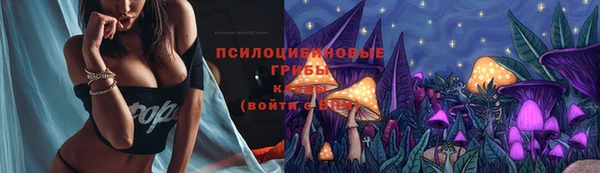 синтетический гашиш Алексин