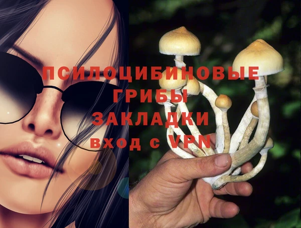 синтетический гашиш Алексин