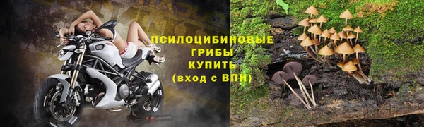 герыч Алзамай